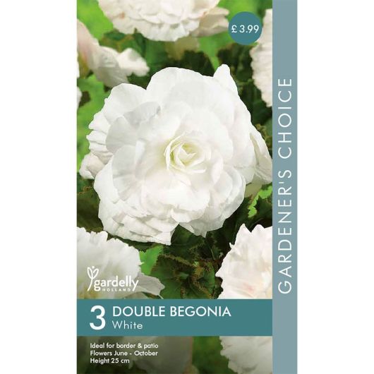Gardelly Begonia Double White